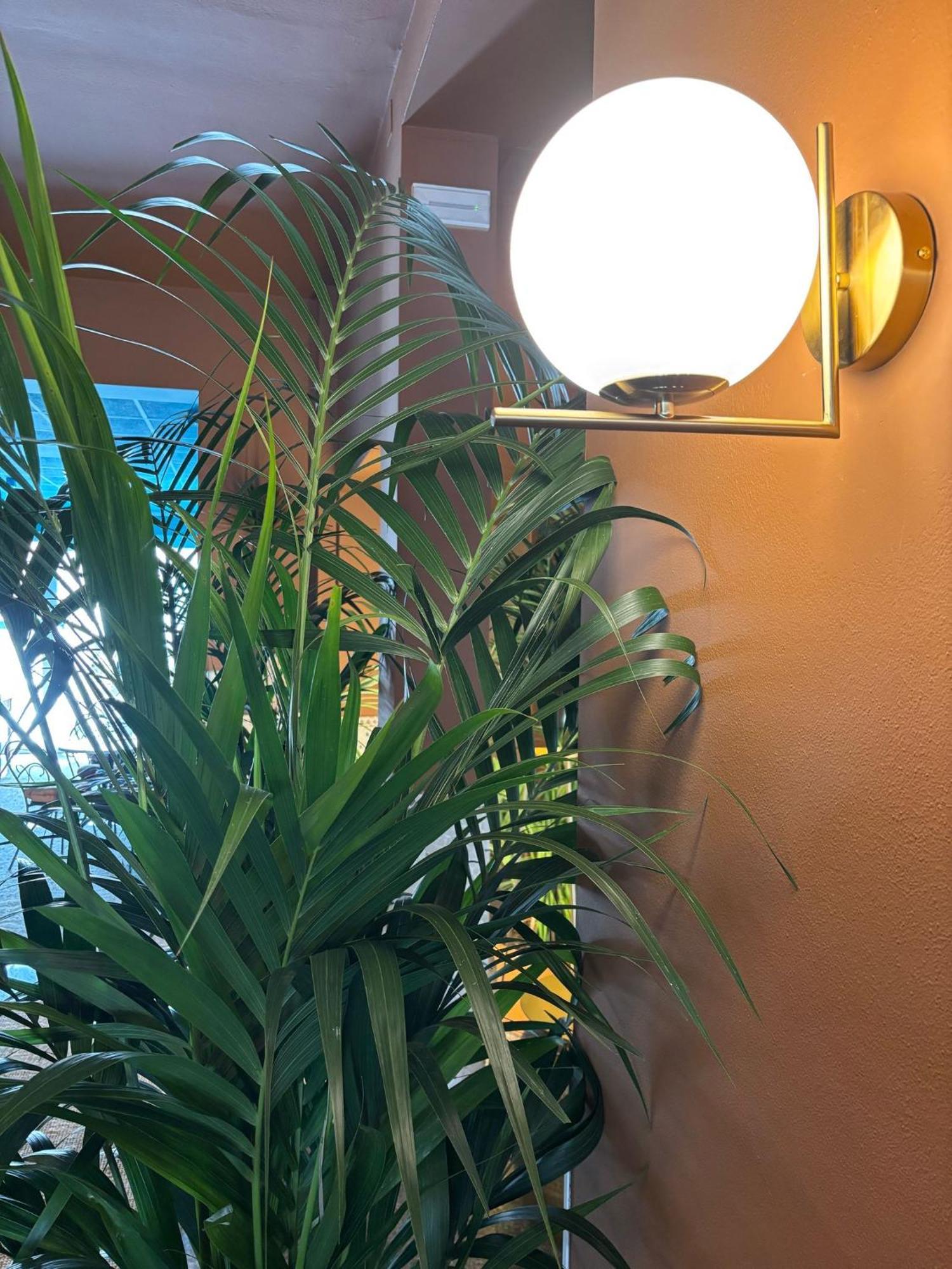 Hotel Portofino Τζεσόλο Λίντο Εξωτερικό φωτογραφία