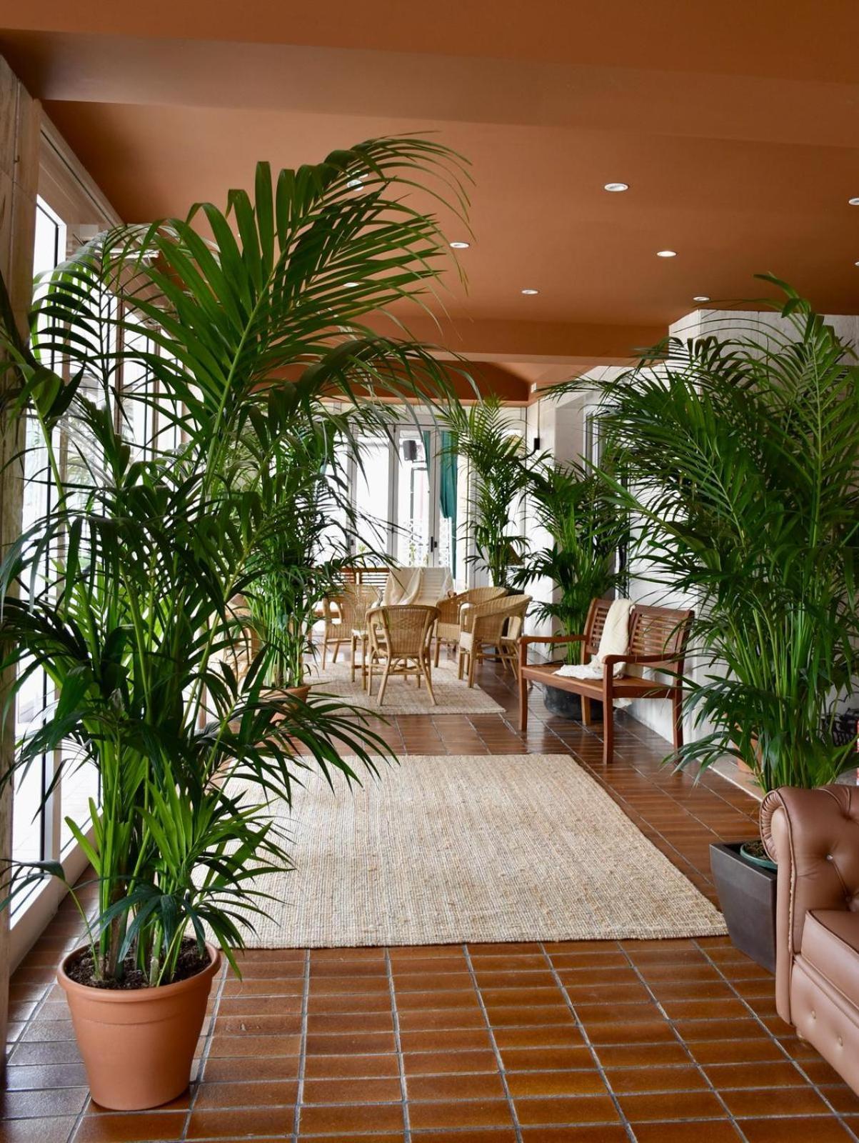 Hotel Portofino Τζεσόλο Λίντο Εξωτερικό φωτογραφία